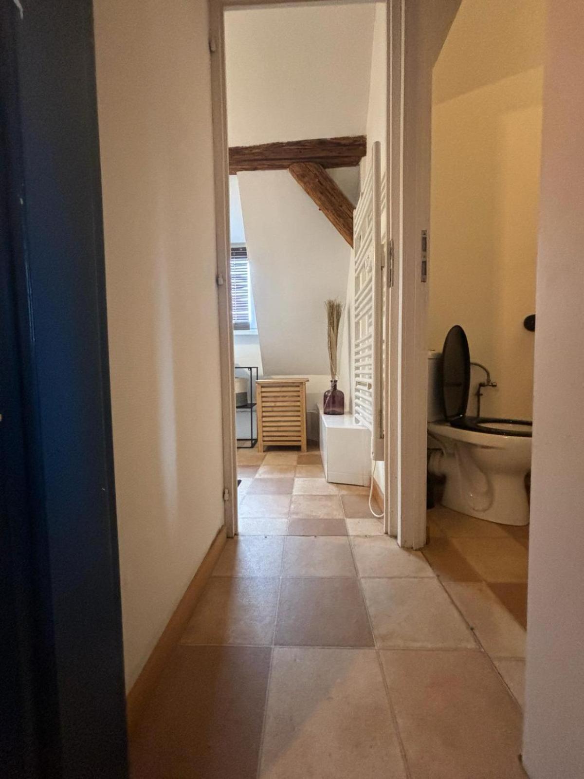 Charmant Appartement Proche Strasbourg A Eckwersheim Dış mekan fotoğraf