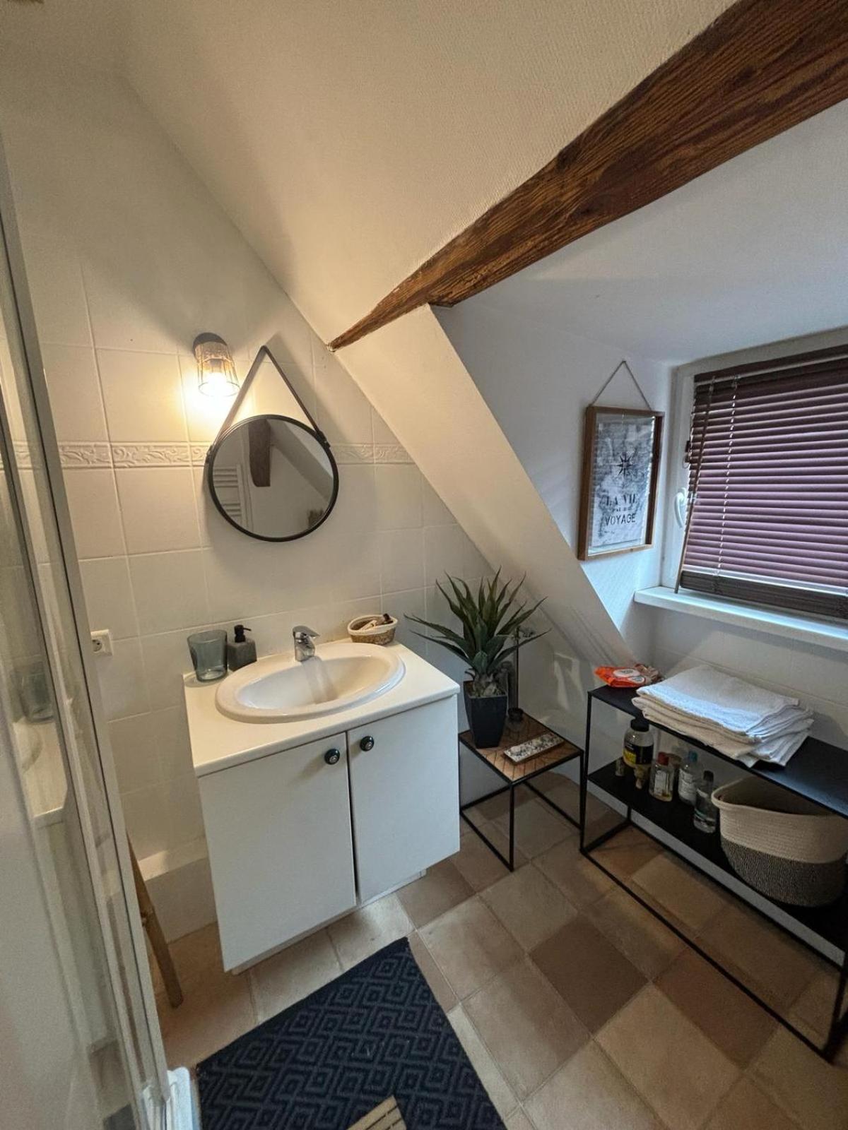 Charmant Appartement Proche Strasbourg A Eckwersheim Dış mekan fotoğraf