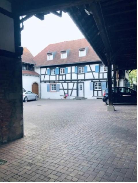 Charmant Appartement Proche Strasbourg A Eckwersheim Dış mekan fotoğraf